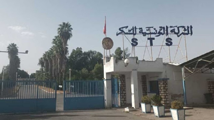 غدا.. مصنع السكر بباجة يستأنف نشاطه  و8 آلاف طن جاهزة للتوزيع..